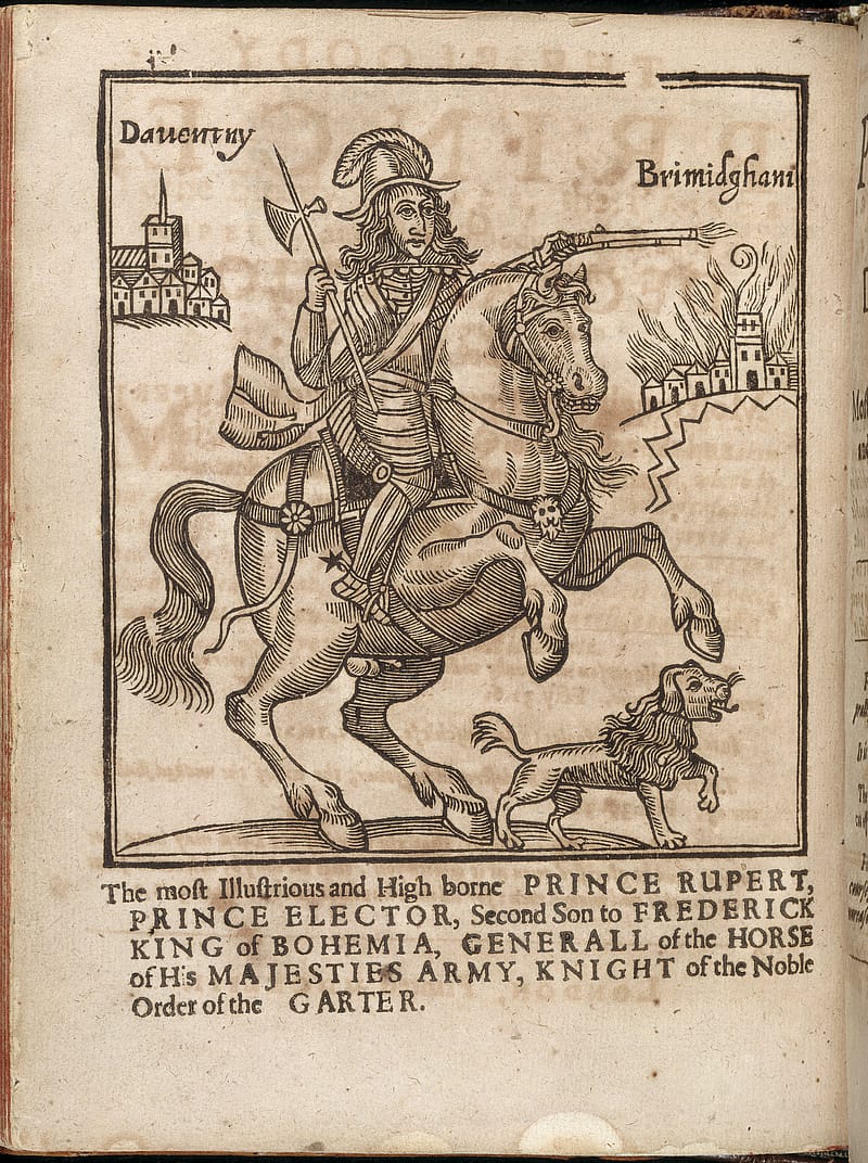 Old discoloured print of a man on horseback in armour. He has long, wavy hair. Beneath him there is a medium-sized dog with a fluffy mane. Behind them are buildings, some of which appear to be on fire. Above these buildings is the word 'Birmingham'.