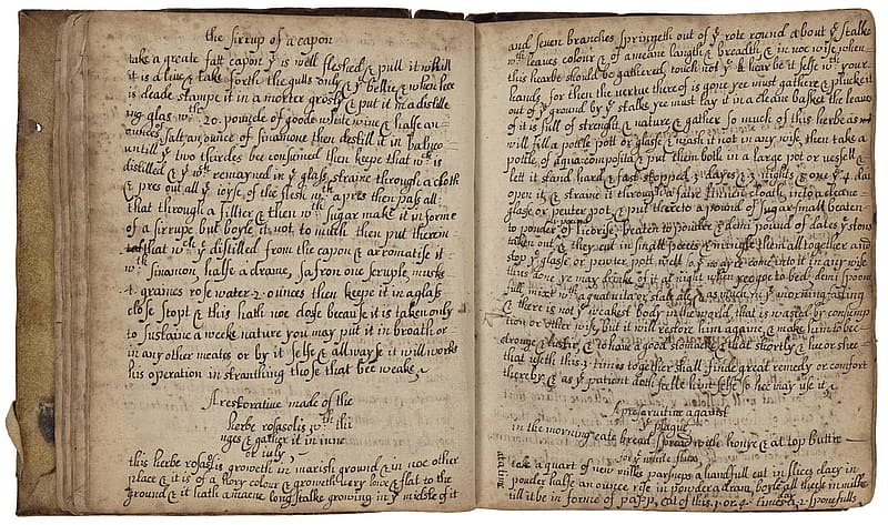 Double-page spread of old book that looks like a diary. Both pages are filled with neat, cursive handwriting in ink.