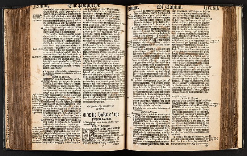 Double-page spread of large old book with Gothic style font. Across the spread there are muddy marks that look like chicken feet.